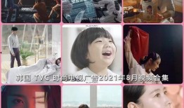 雷子爆料苏菲视频大全,苏菲视频大全背后的惊人真相