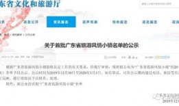 揭西今日爆料新闻视频,视频揭露惊人真相，网友热议不断！