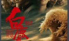 白鹿原电影在线观看,穿越历史的长河，探寻家族命运之谜