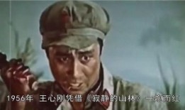 最新王心刚爆料视频,娱乐圈不为人知的真相