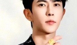 爆料娱乐圈男明星,揭秘明星背后的真实生活