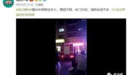 东北高校爆料视频大全集,揭秘校园生活精彩瞬间