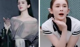 赵樱子被爆料视频大全集,揭秘娱乐圈背后的真相